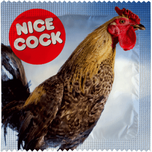 NICE COCK